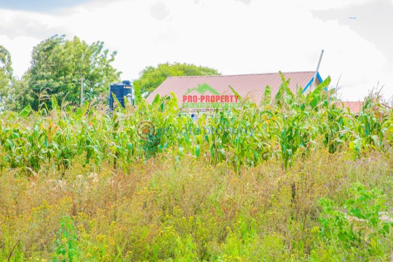 Residential Land For Sale Lusigetti Kikuyu. Kiambu - 2