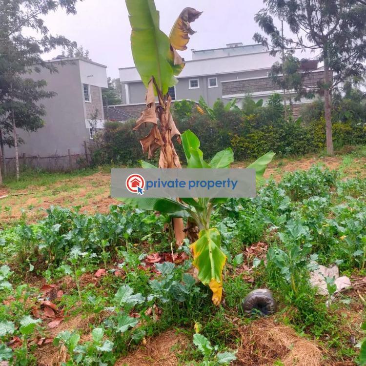 Land For Sale &nbsp;kufuga Road Karen Nairobi - 3