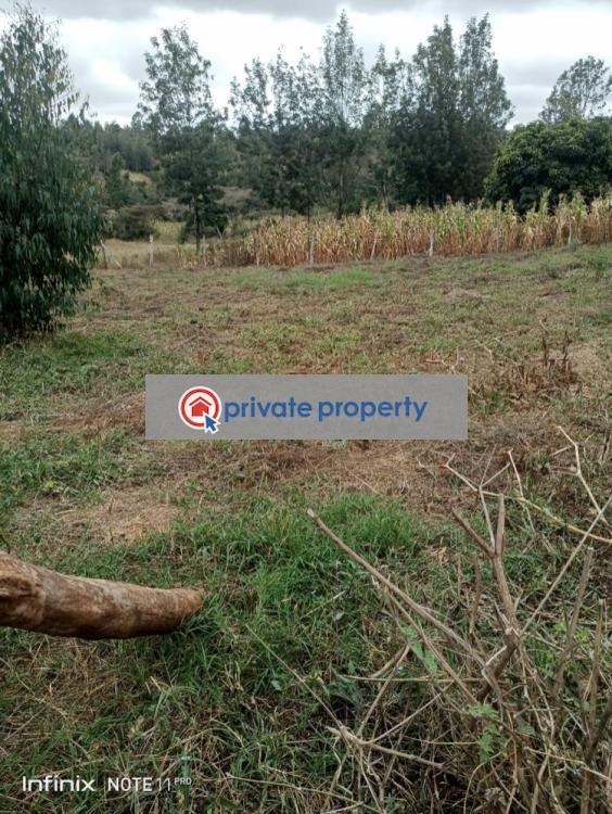 Land For Sale &nbsp;ngong Olkeri Area Ngong Kajiado - 3