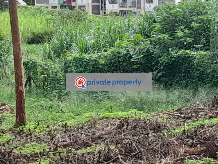 Mixed use Land For Sale &nbsp;kitisuru Road Kabete Kiambu - 4