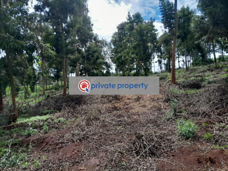Mixed use Land For Sale &nbsp;kitisuru Road Kabete Kiambu - 1