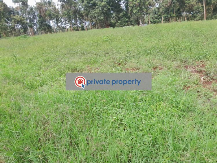Mixed use Land For Sale &nbsp;kitisuru Road Kabete Kiambu - 3