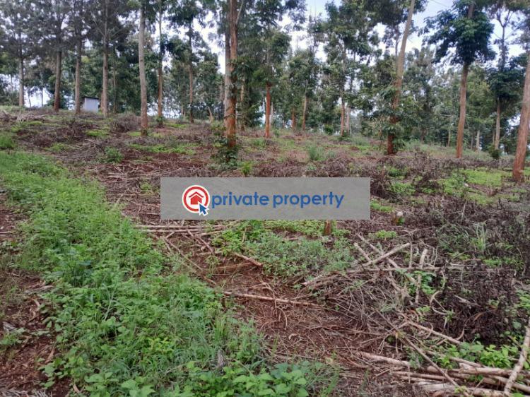 Mixed use Land For Sale &nbsp;kitisuru Road Kabete Kiambu - 6
