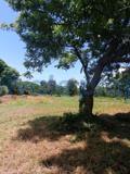 Land For Sale Kikambala Mtwapa Kilifi - 9