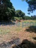 Land For Sale Kikambala Mtwapa Kilifi - 10