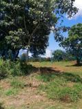 Land For Sale Kikambala Mtwapa Kilifi - 6