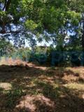 Land For Sale Kikambala Mtwapa Kilifi - 8