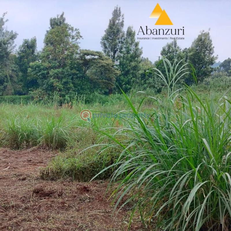 Residential Land For Sale Ziwani Estate Ondiri Kikuyu Kiambu - 4