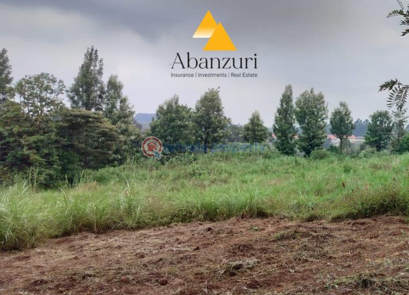 Residential Land For Sale Ziwani Estate Ondiri Kikuyu Kiambu - 2