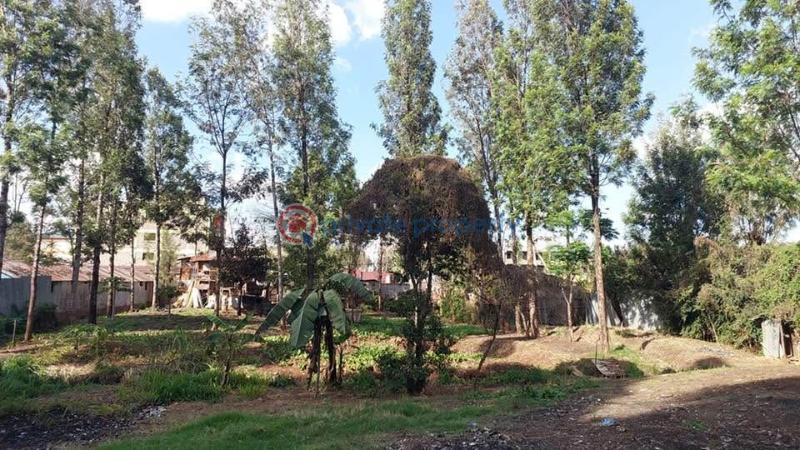 Land For Sale Kabiria Road Riruta Nairobi - 3