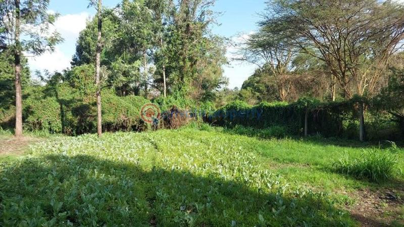 Land For Sale Kabiria Road Riruta Nairobi - 15