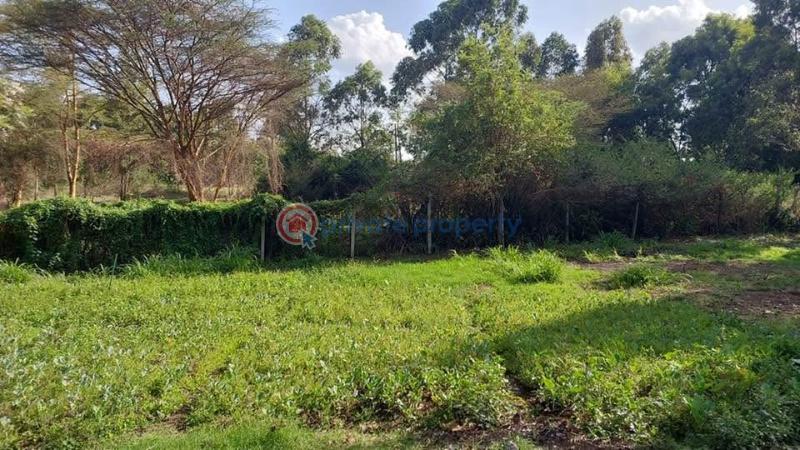 Land For Sale Kabiria Road Riruta Nairobi - 2