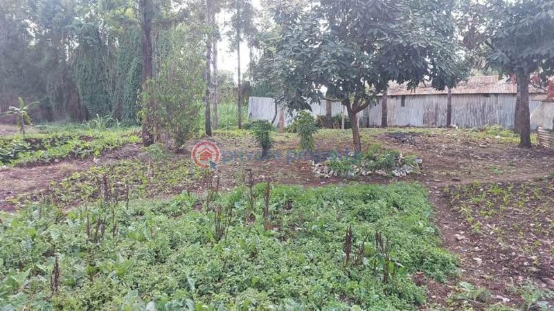 Land For Sale Kabiria Road Riruta Nairobi - 11