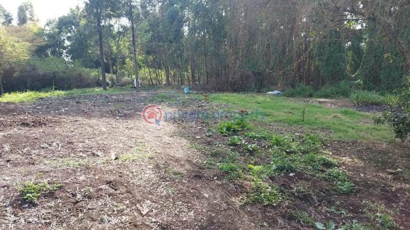 Land For Sale Kabiria Road Riruta Nairobi - 6