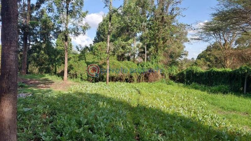 Land For Sale Kabiria Road Riruta Nairobi - 10