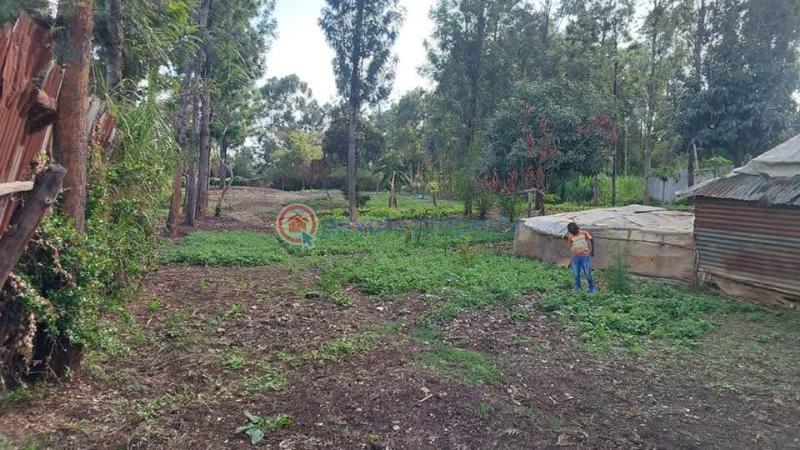Land For Sale Kabiria Road Riruta Nairobi - 5