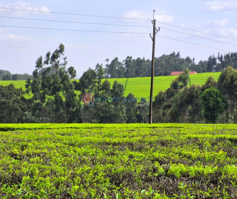 Land For Sale Riara Ridge Tigoni Kiambu - 4