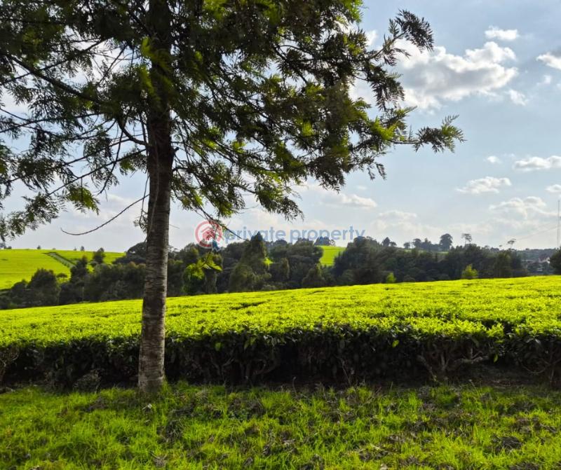 Land For Sale Riara Ridge Tigoni Kiambu - 3
