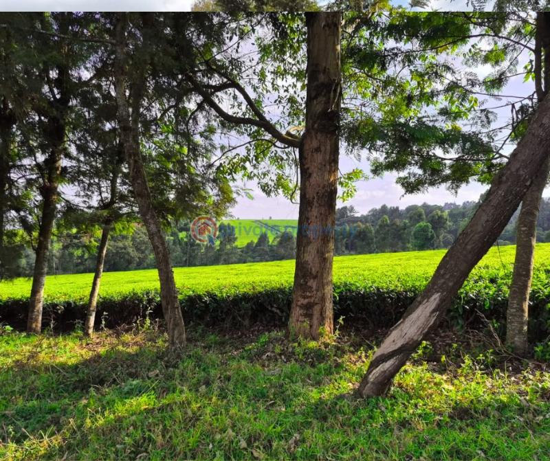 Land For Sale Riara Ridge Tigoni Kiambu - 0