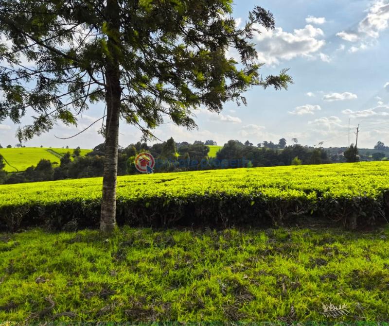 Land For Sale Riara Ridge Tigoni Kiambu - 2