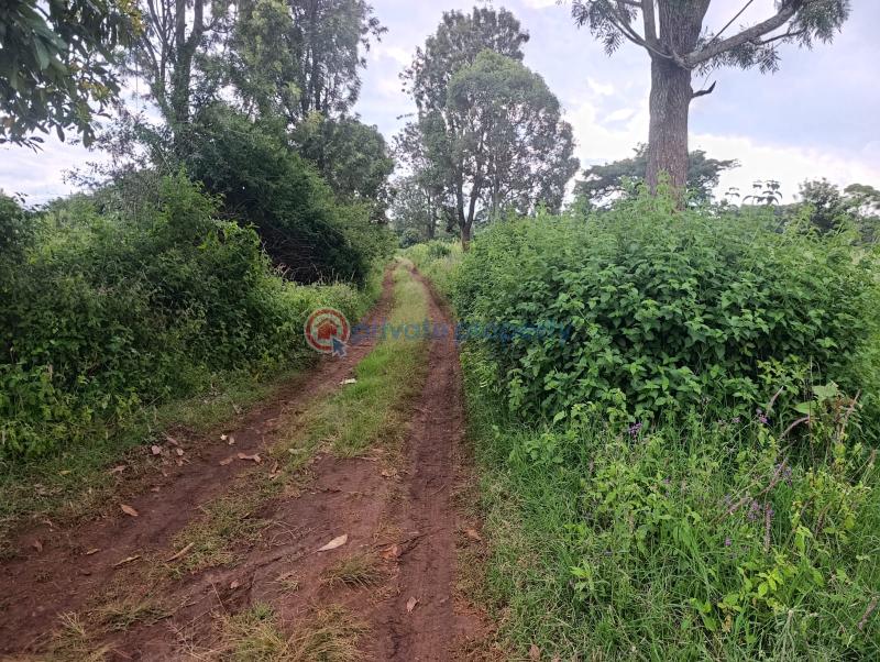 Land For Sale Kerarapon. Ngong Kajiado - 2