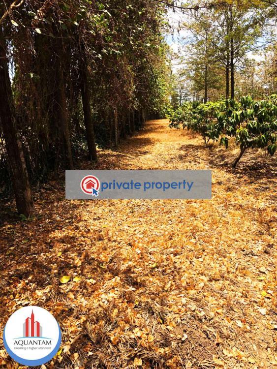 Residential Land For Sale &nbsp;kihunguro Ruiru Kiambu - 2