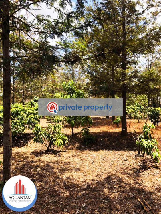 Residential Land For Sale &nbsp;kihunguro Ruiru Kiambu - 1