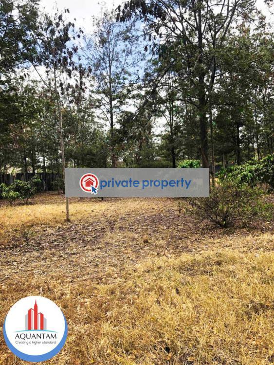 Residential Land For Sale &nbsp;kihunguro Ruiru Kiambu - 3