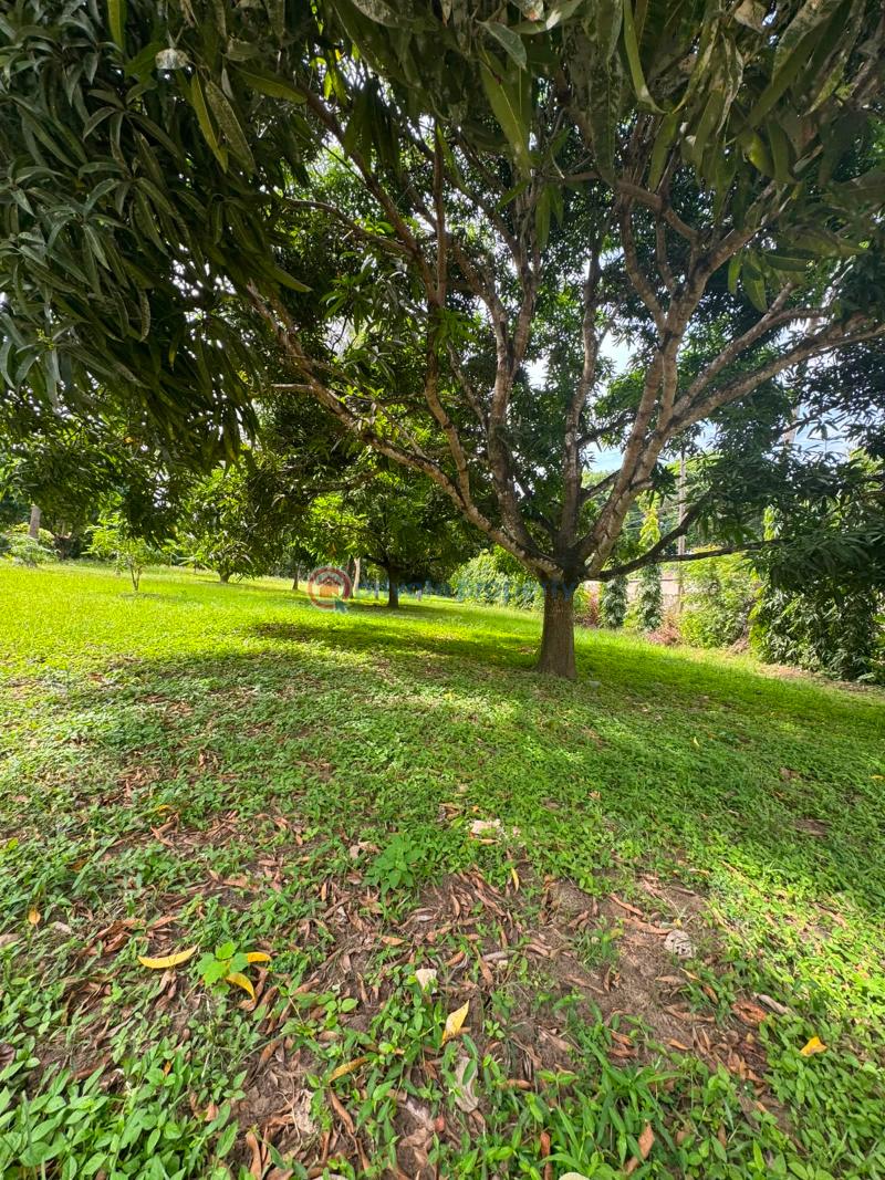 Land For Sale Kanamai Mtwapa Kilifi - 4
