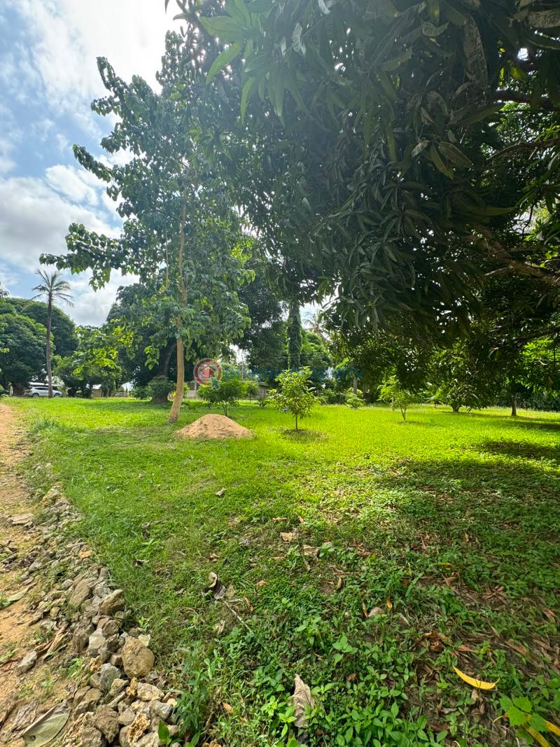 Land For Sale Kanamai Mtwapa Kilifi - 5