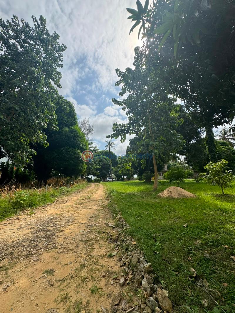 Land For Sale Kanamai Mtwapa Kilifi - 6