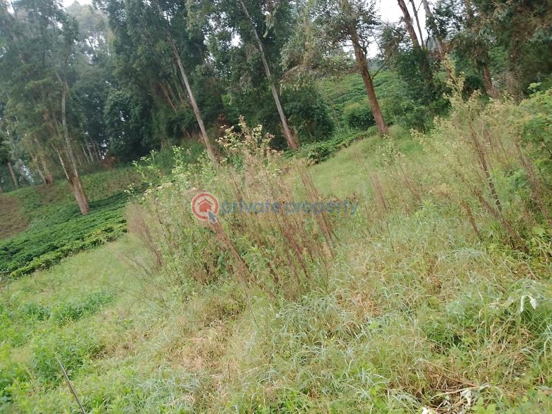 Land For Sale Kathiri, Kimunye Kerugoya Kirinyaga - 3