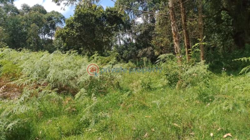 Land For Sale Kathiri, Kimunye Kerugoya Kirinyaga - 6