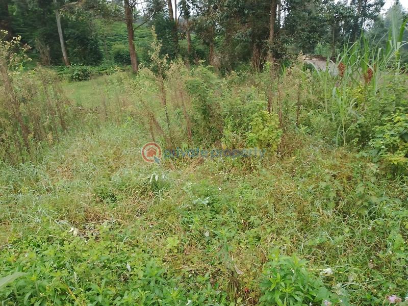 Land For Sale Kathiri, Kimunye Kerugoya Kirinyaga - 5