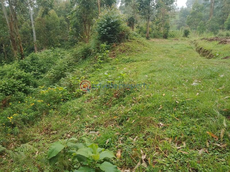 Land For Sale Kathiri, Kimunye Kerugoya Kirinyaga - 1