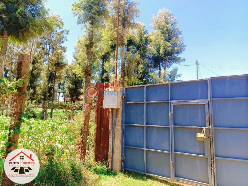 Residential Land For Sale Green Garden Main Schhol Area Thogoto Kikuyu Kiambu - 9