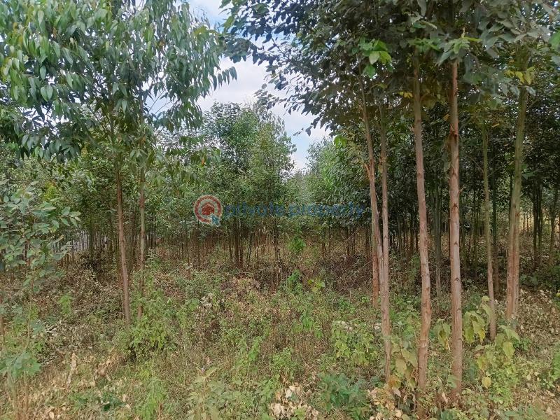 Residential Land For Sale Peponi View Villas Estate Neighborhood Kamangu Kikuyu Kiambu - 5