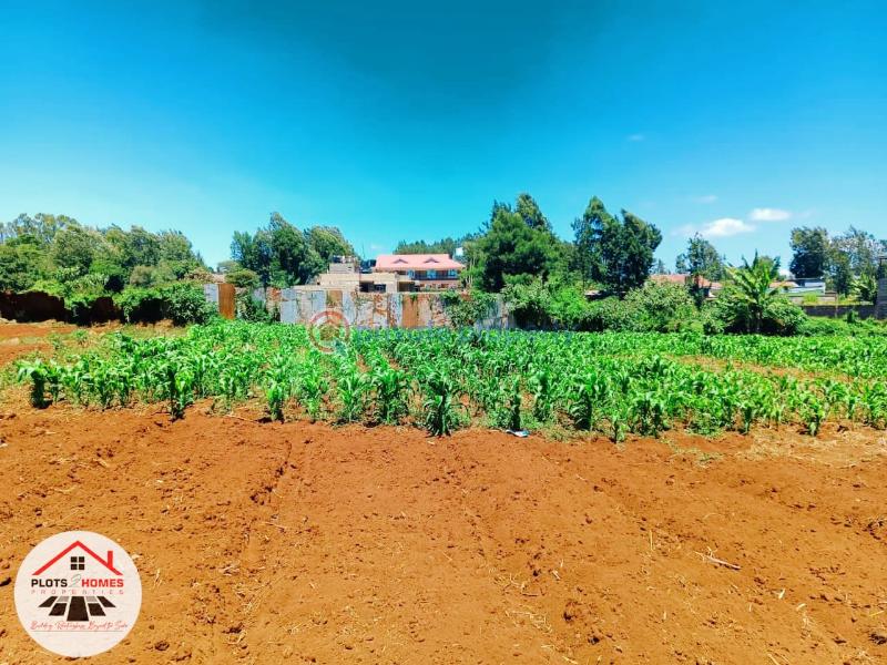 Residential Land For Sale Green Garden Main Schhol Area Thogoto Kikuyu Kiambu - 3