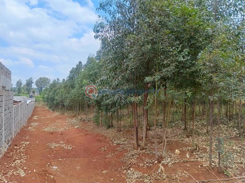 Residential Land For Sale Peponi View Villas Estate Neighborhood Kamangu Kikuyu Kiambu - 6