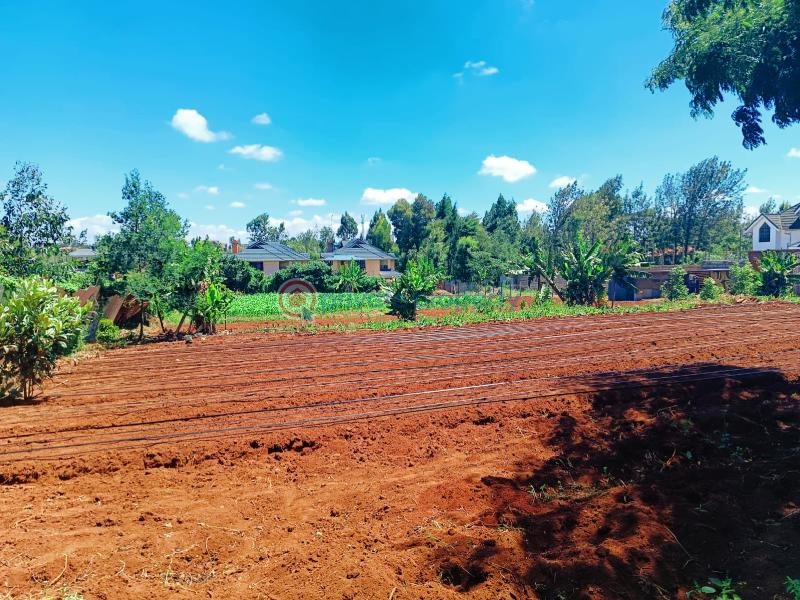 Residential Land For Sale Green Garden Main Schhol Area Thogoto Kikuyu Kiambu - 6