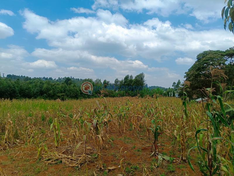 Residential Land For Sale Peponi View Villas Estate Neighborhood Kamangu Kikuyu Kiambu - 2