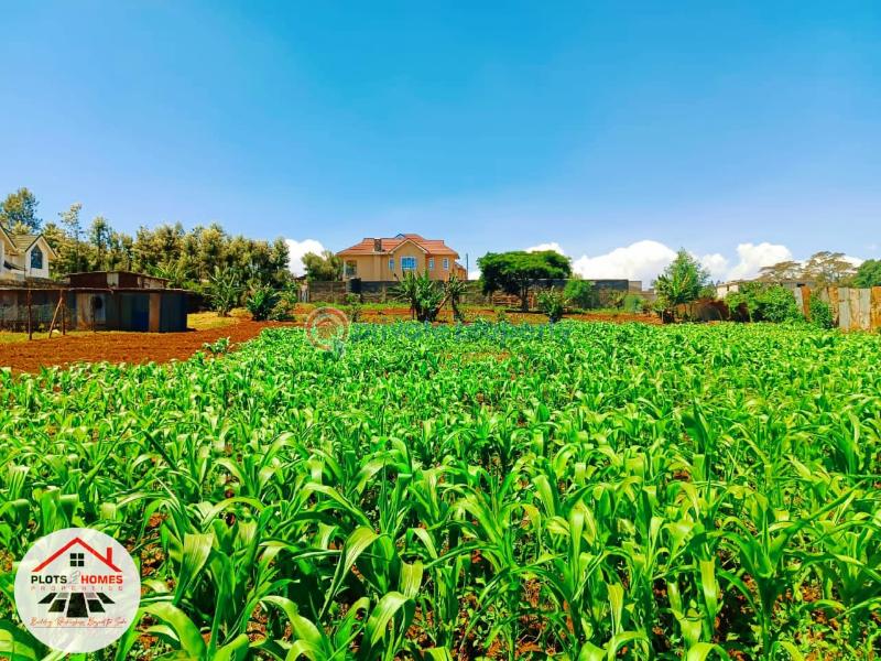 Residential Land For Sale Green Garden Main Schhol Area Thogoto Kikuyu Kiambu - 1