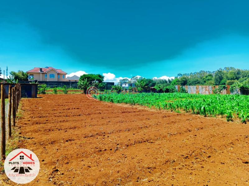 Residential Land For Sale Green Garden Main Schhol Area Thogoto Kikuyu Kiambu - 2