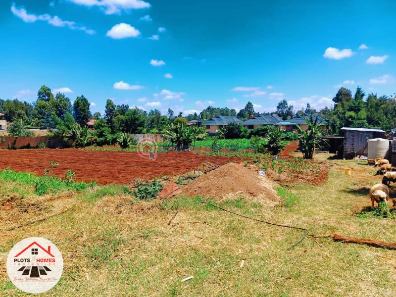 Residential Land For Sale Green Garden Main Schhol Area Thogoto Kikuyu Kiambu - 4