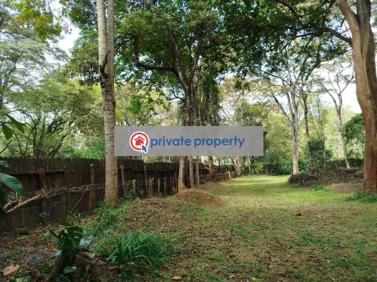Land For Sale &nbsp;mwitu Road Karen Nairobi - 6