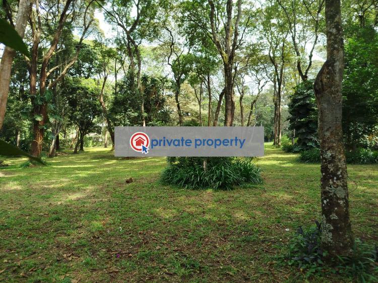 Land For Sale &nbsp;mwitu Road Karen Nairobi - 1