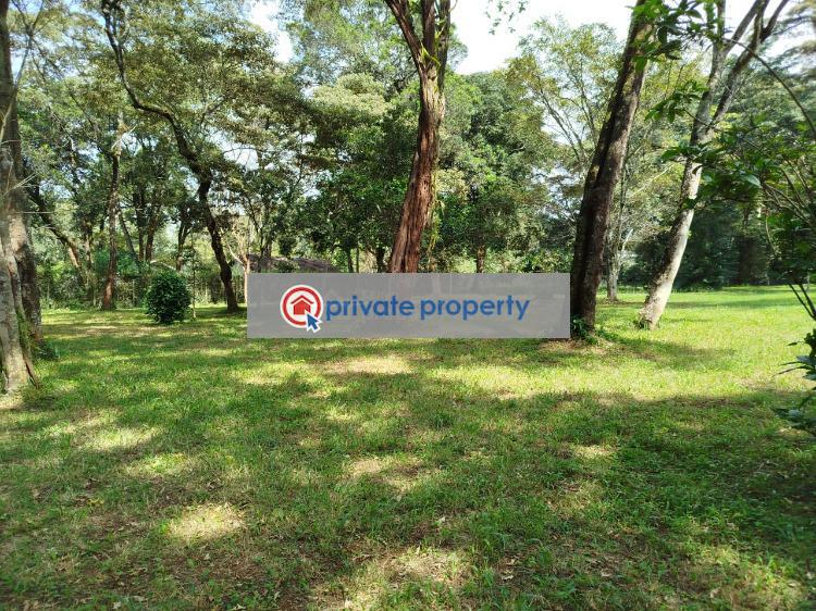 Land For Sale &nbsp;mwitu Road Karen Nairobi - 3