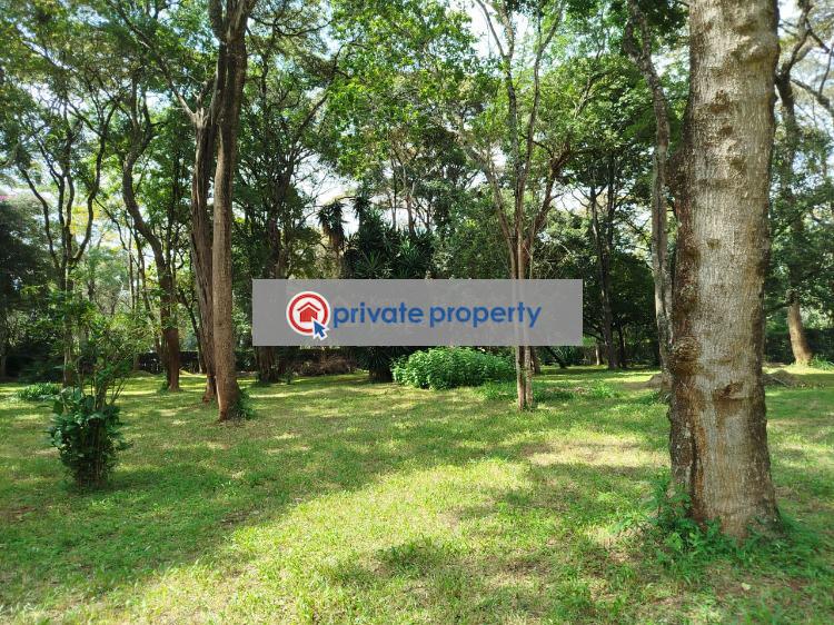 Land For Sale &nbsp;mwitu Road Karen Nairobi - 2