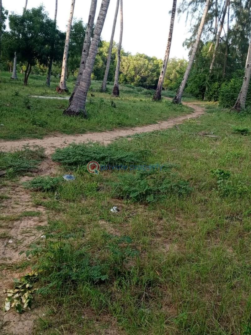 Land For Sale Watamu ,mida Creek Area Watamu Kilifi - 1