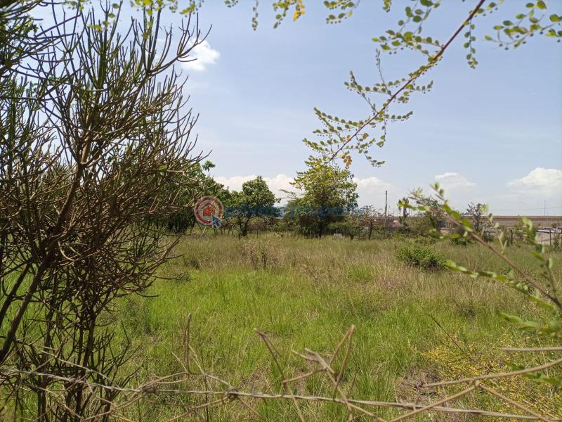 Land For Sale Matasia Ngonga Ole Roimen Rd Matasia Ngong Kajiado - 1